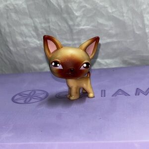 FIRST RELEASED LPS!! Chihuahua #001